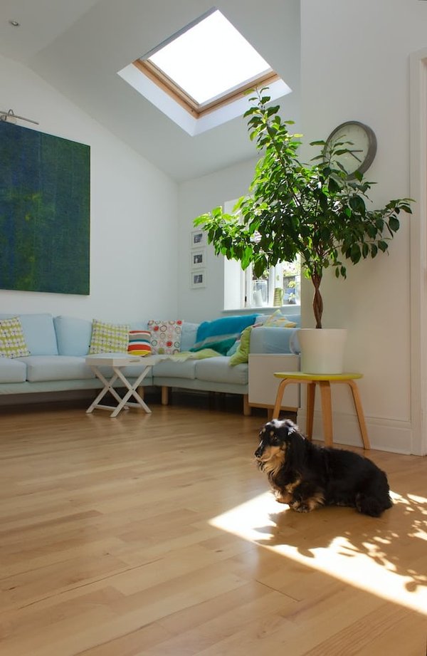 4 astuces pour la décoration de votre appartement