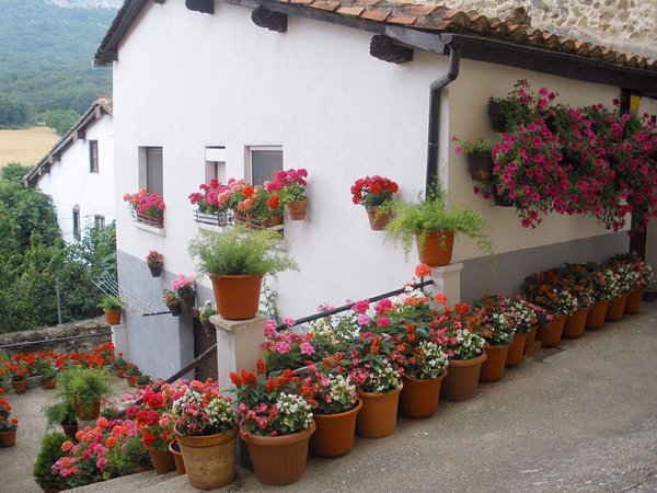 Des pots de fleurs extérieurs : une décoration florale incontournable