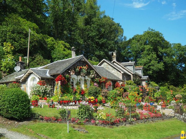 Comment aménager et entretenir un jardin au naturel ?