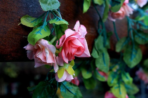 Les plantes artificielles : un allié économique et durable en décoration