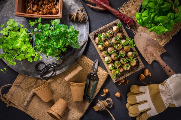 La décoration avec des plantes artificielles : un choix économique et écologique
