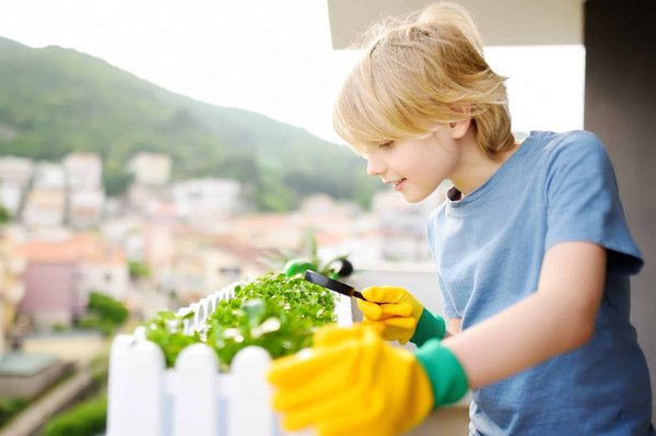Jardinière balcon : les bons conseils pour réussir son utilisation