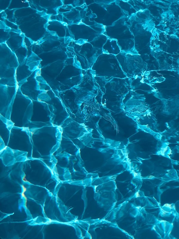 Comment aménager une piscine pour des activités aquatiques variées ?