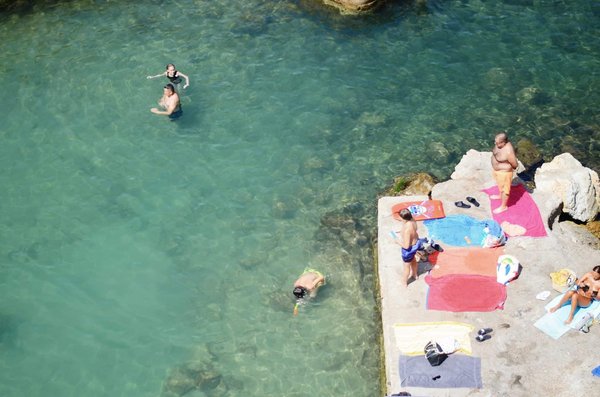 Comment créer un équilibre écologique dans une piscine naturelle ?