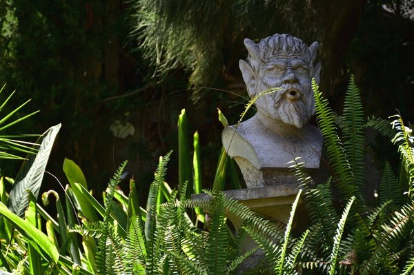 Comment créer un jardin d'ombre avec des fougères et des hostas pour les zones sous les arbres ?