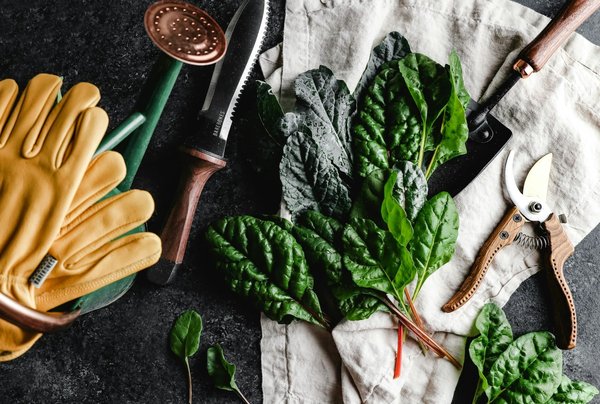 Comment organiser des outils de jardin dans un petit espace ?